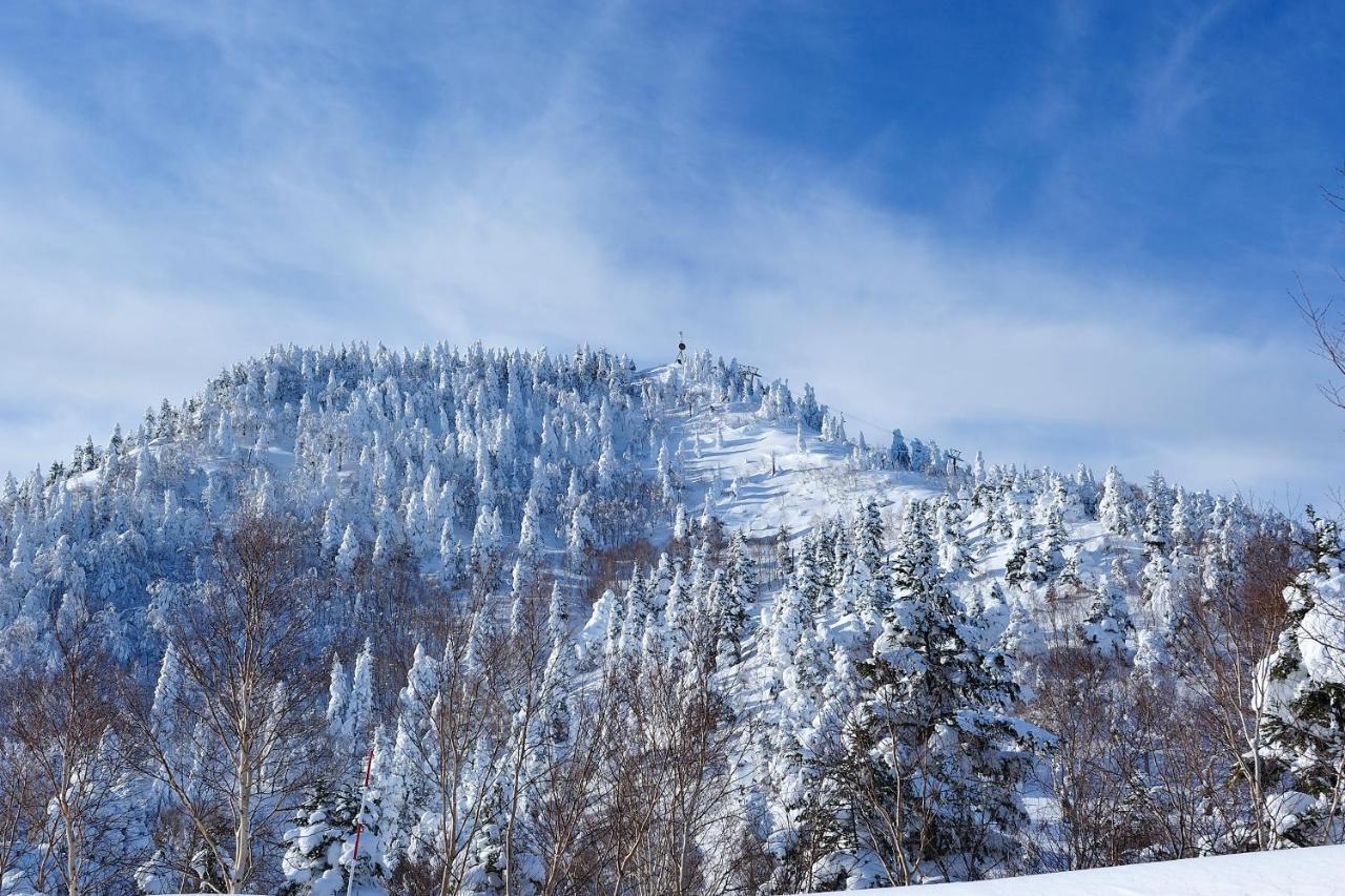 Shiga Kogen Olympic Hotel Yamanouchi  Extérieur photo